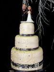 WEDDING CAKE 569